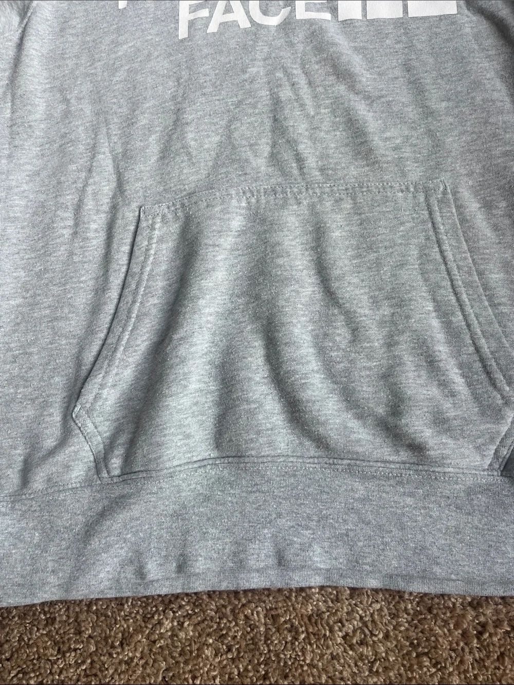 The North Face Men's Light Gray Logo Hoodie